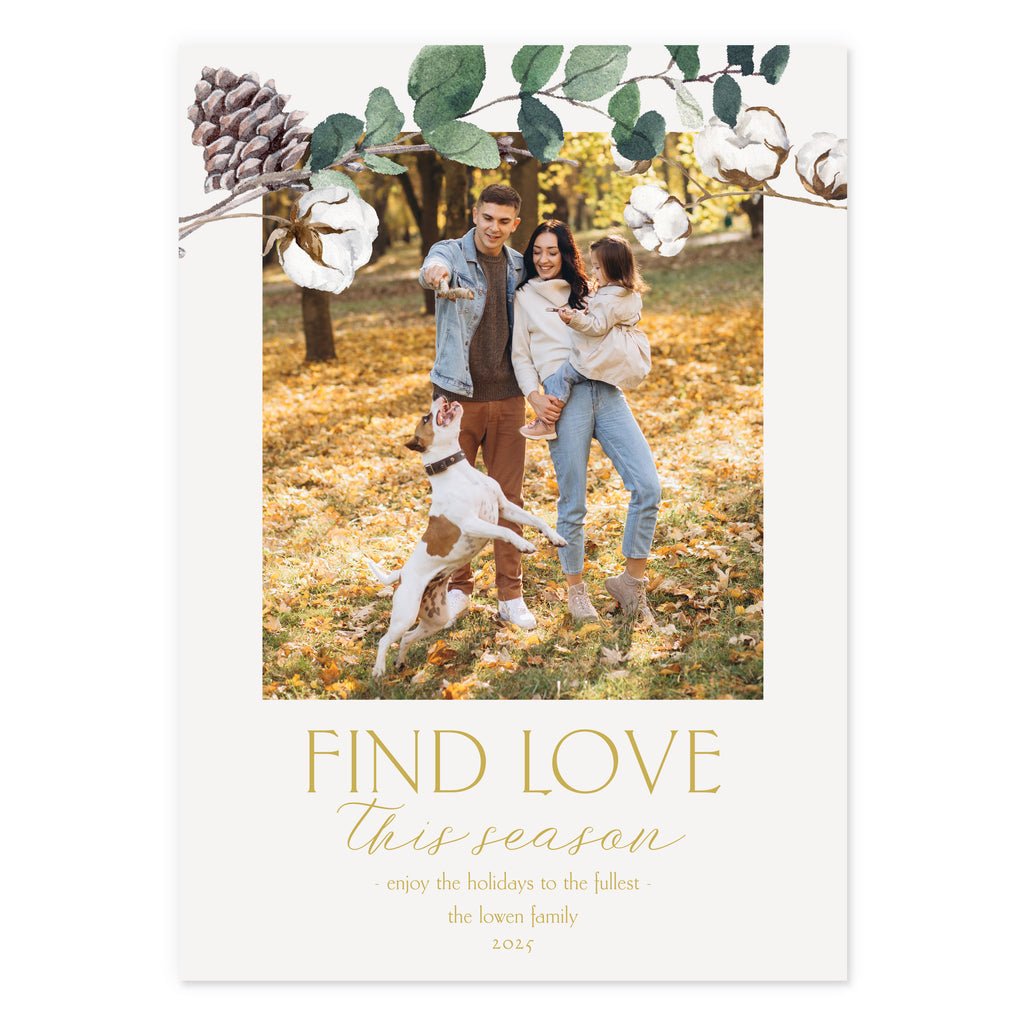 Holiday Cards