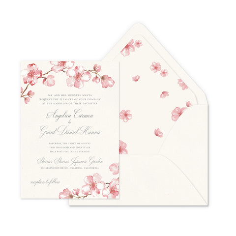 Cherry Blossom