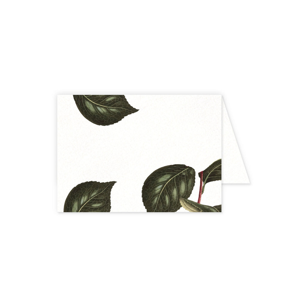 Place cards