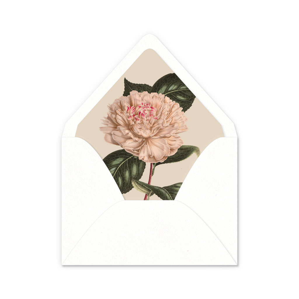 Envelope Liners