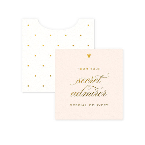 Secret Admirer Mini Enclosure