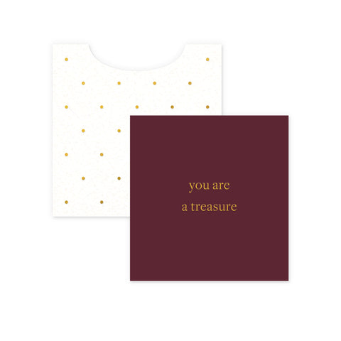 Treasure Mini Enclosure