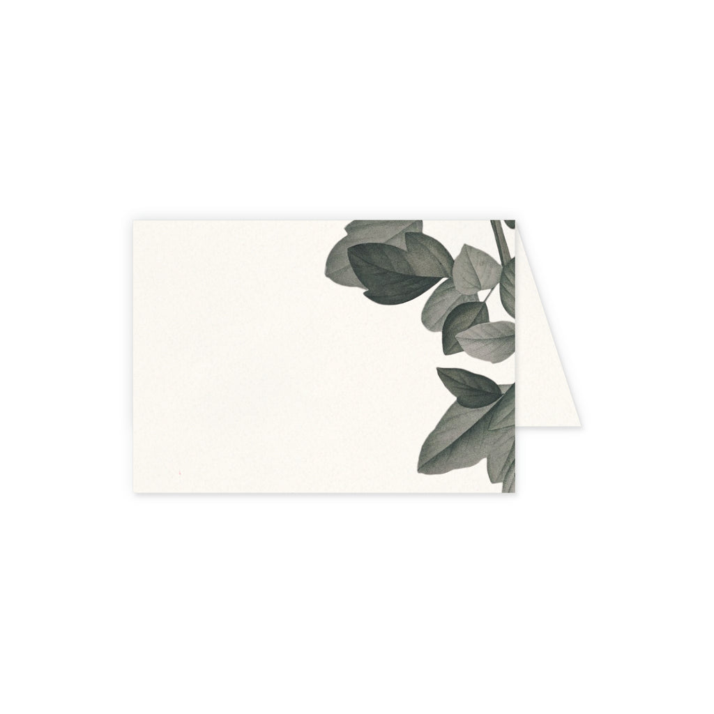 Place cards