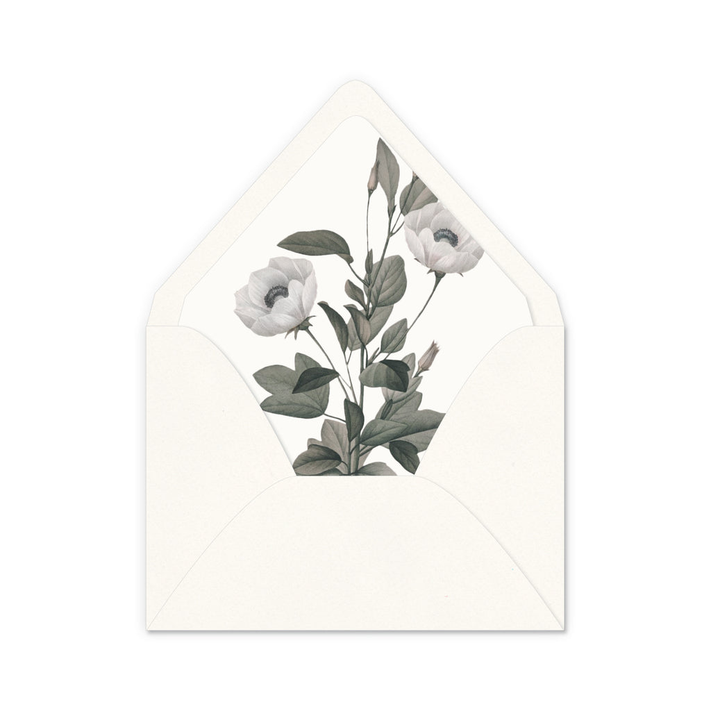 Envelope Liners